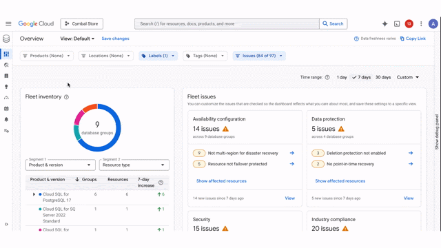 Google Cloud Database Center fleet insights